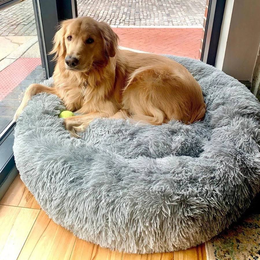 Plush Haven Pet Bed