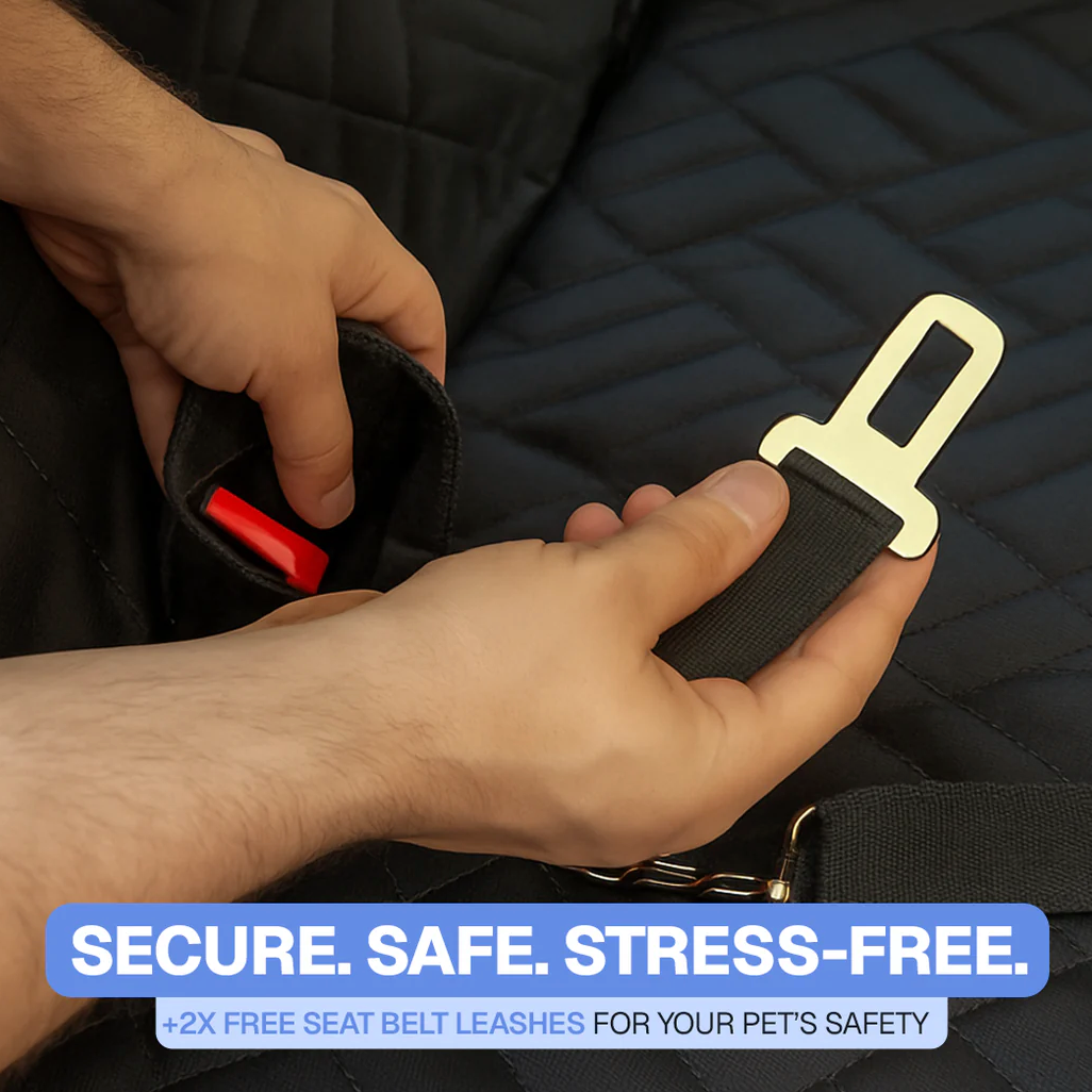 Premium Dog Seat Cover