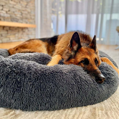 Plush Haven Pet Bed