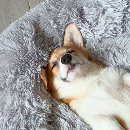 Plush Haven Pet Bed