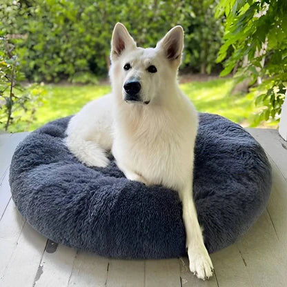 Plush Haven Pet Bed